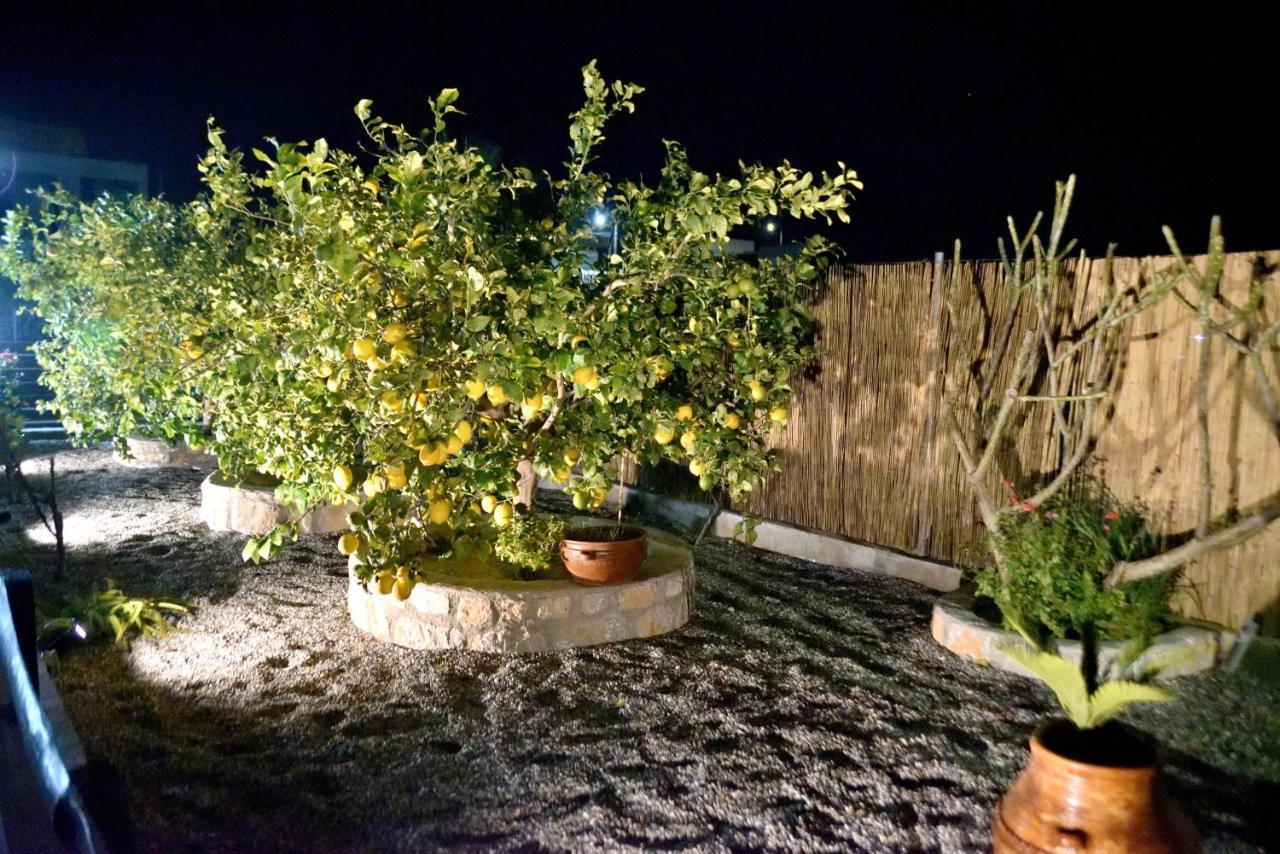 Plumeria House Archangelos  Dış mekan fotoğraf