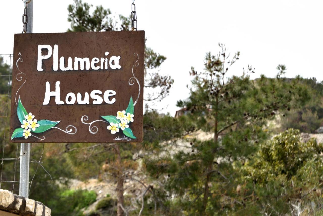 Plumeria House Archangelos  Dış mekan fotoğraf